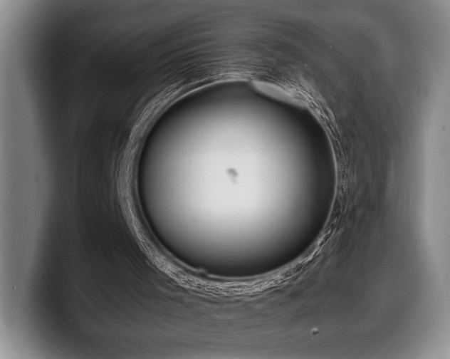 X0000100310001200806051506