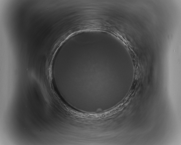 X0000100310002200806051506
