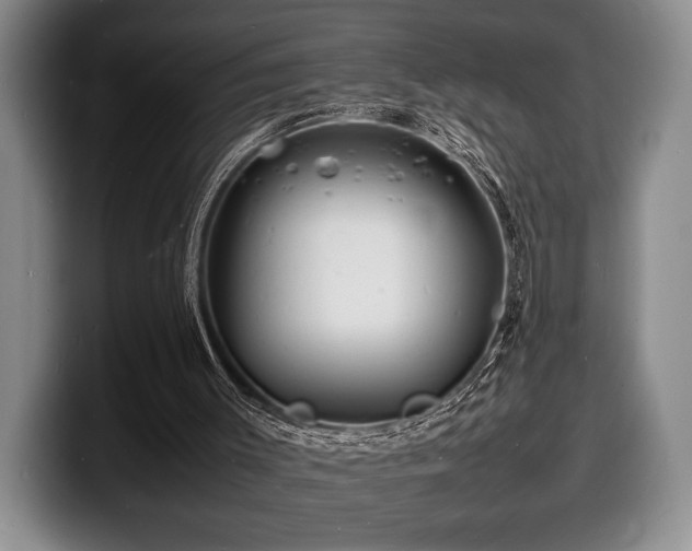 X0000100310003200806051505
