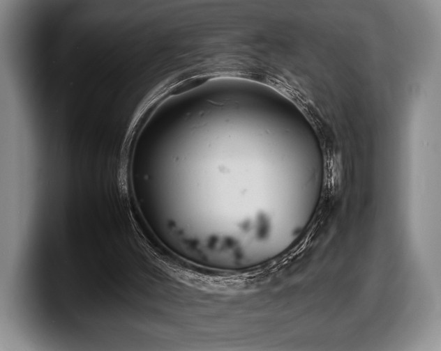 X0000100310004200806051505