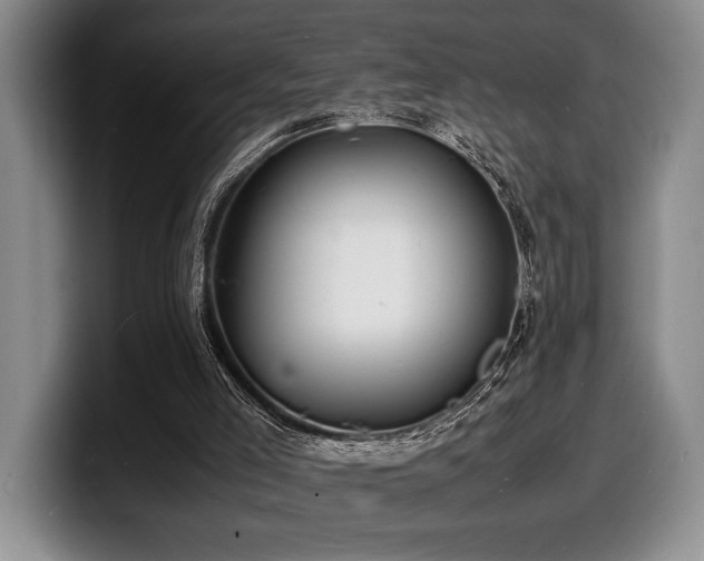 X0000100310005200806051505