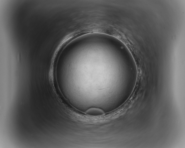 X0000100310006200806051505
