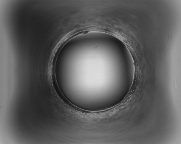 X0000100310007200806051505