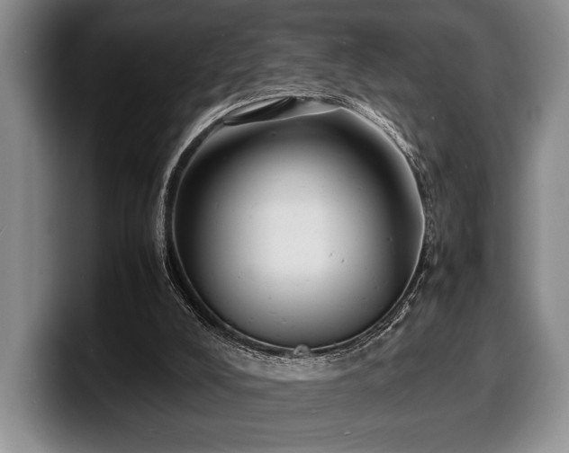 X0000100310008200806051505
