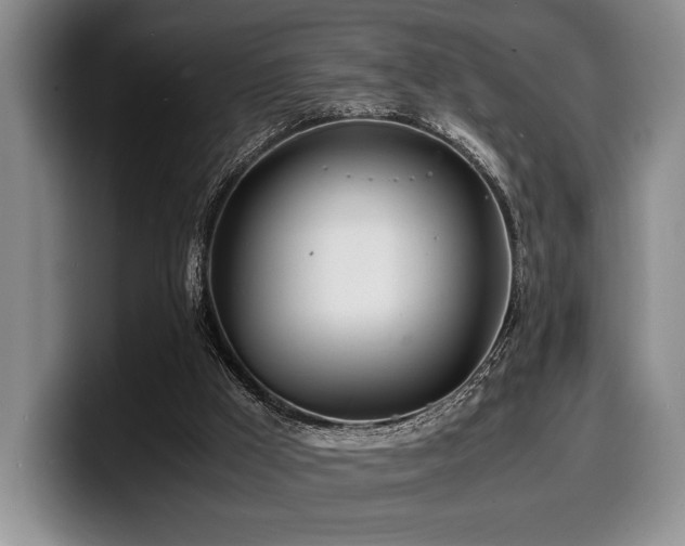 X0000100310009200806051505