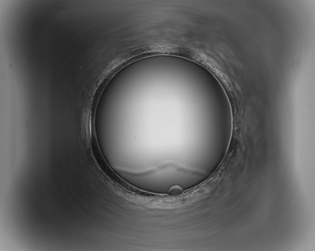 X0000100310011200806051505