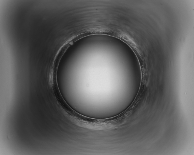 X0000100310012200806051505