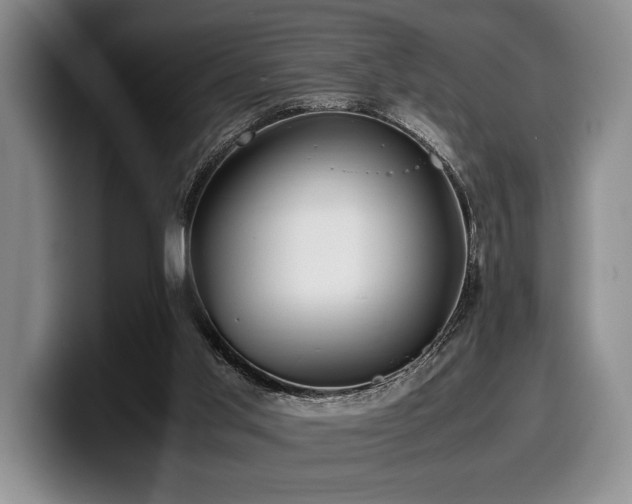 X0000100310013200806051505