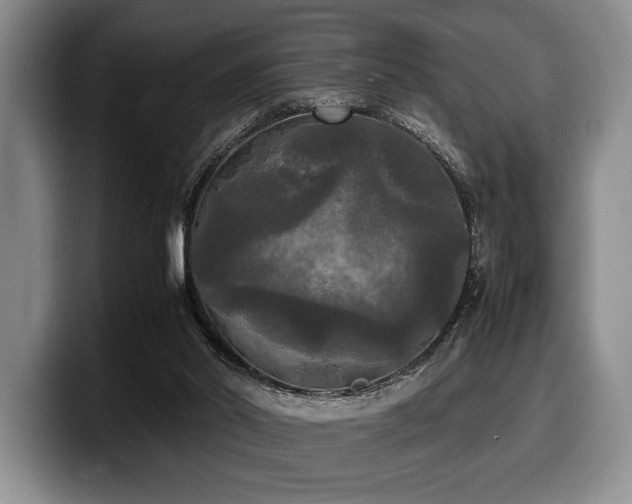 X0000100310014200806051505