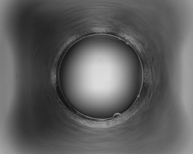 X0000100310015200806051505