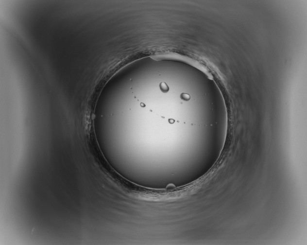 X0000100310017200806051505