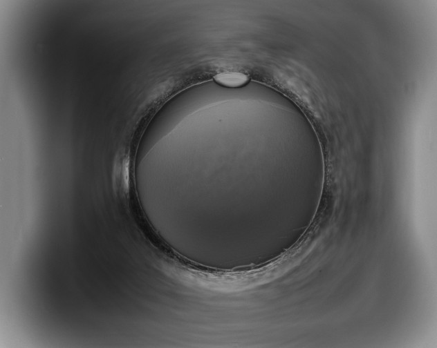 X0000100310019200806051505