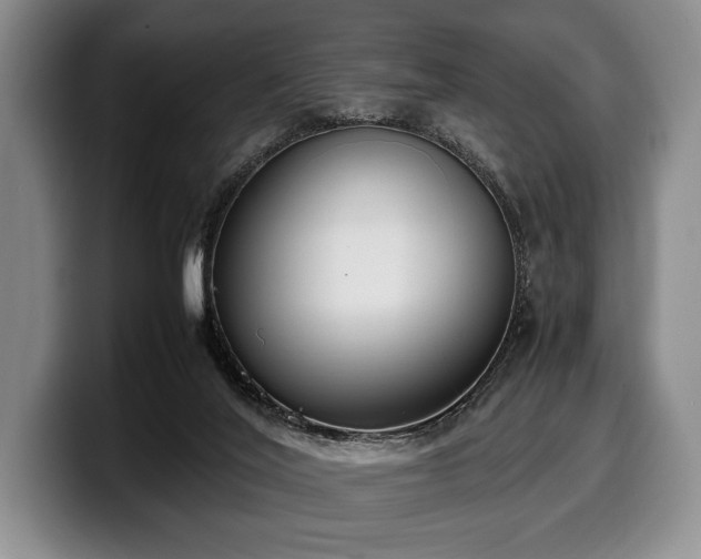 X0000100310020200806051505