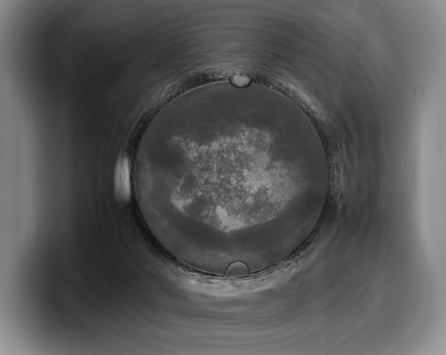 X0000100310022200806051505