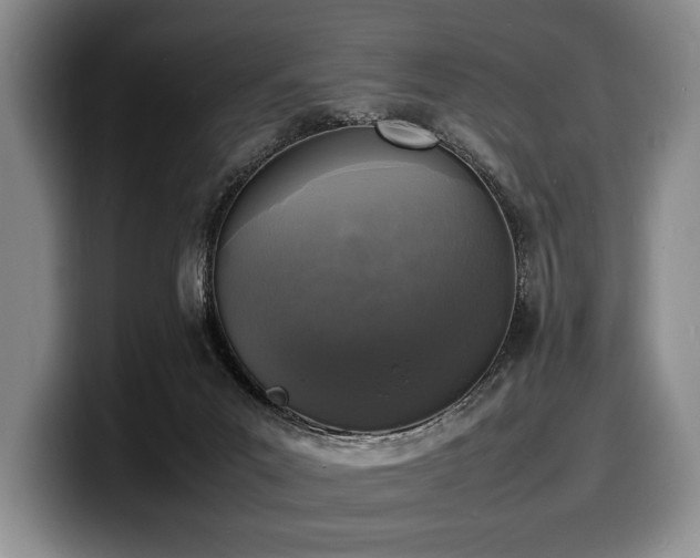X0000100310023200806051505