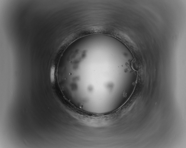 X0000100310024200806051505