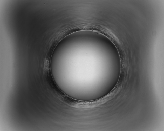 X0000100310025200806051505