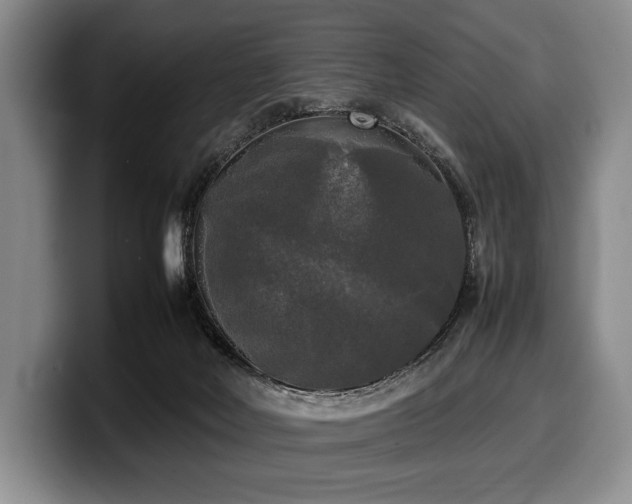 X0000100310026200806051505