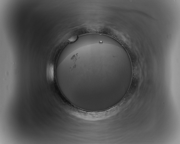 X0000100310027200806051505