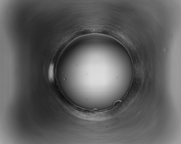 X0000100310028200806051505