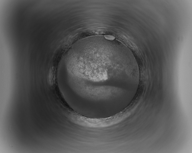 X0000100310030200806051505