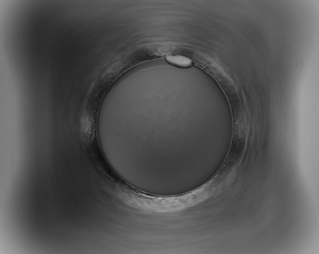 X0000100310031200806051505