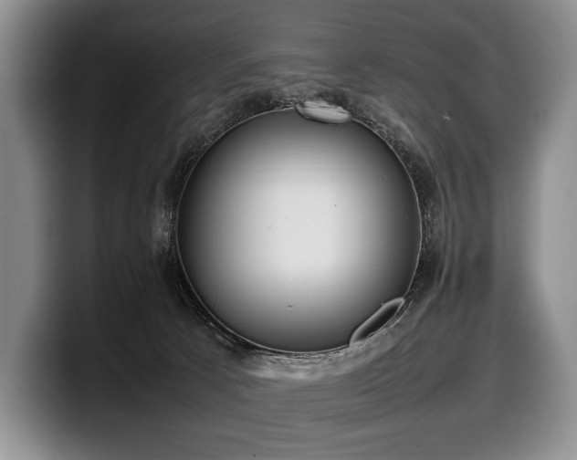 X0000100310033200806051505