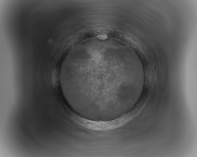 X0000100310034200806051505