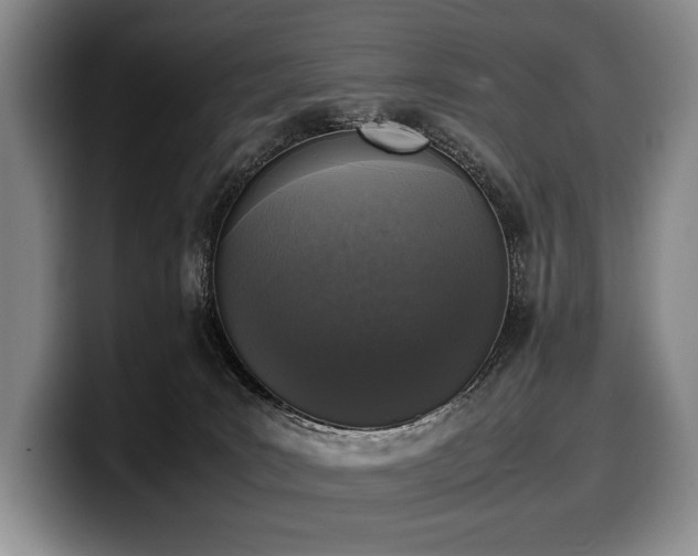X0000100310035200806051505
