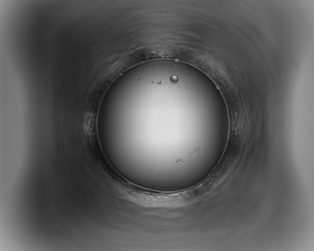 X0000100310036200806051505