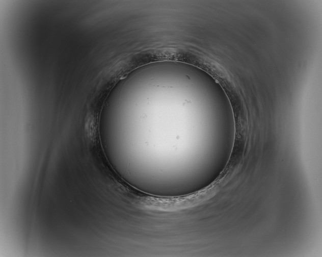X0000100310037200806051505