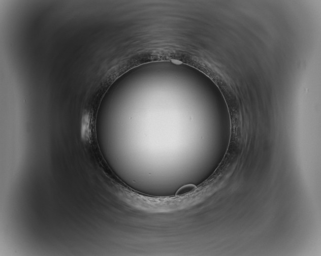 X0000100310038200806051505