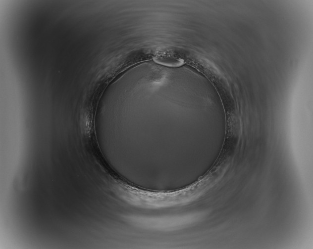 X0000100310039200806051505