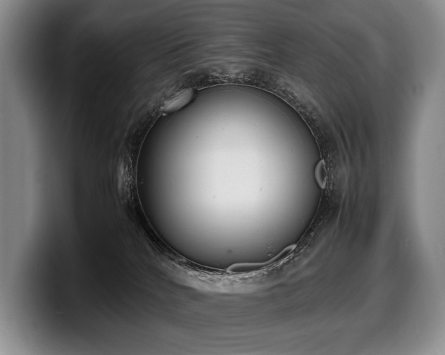 X0000100310040200806051505