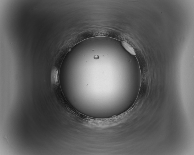 X0000100310041200806051505