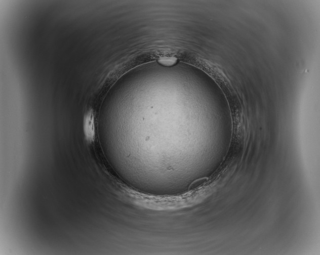 X0000100310042200806051505