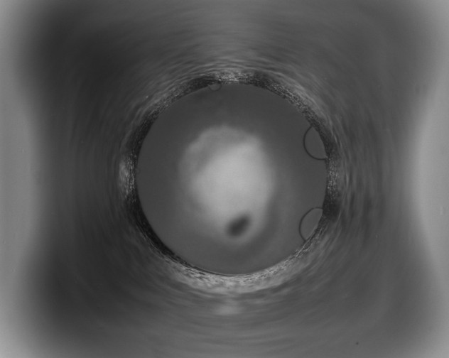 X0000100310043200806051505