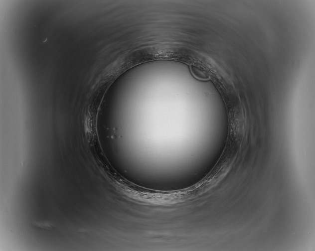 X0000100310044200806051505