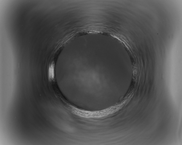 X0000100310046200806051505