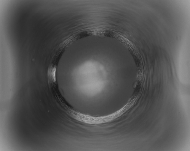 X0000100310047200806051505