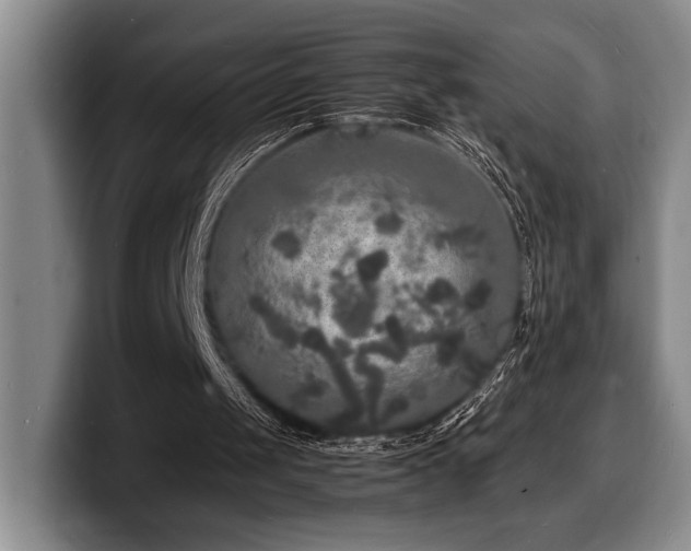 X0000100310049200806051504