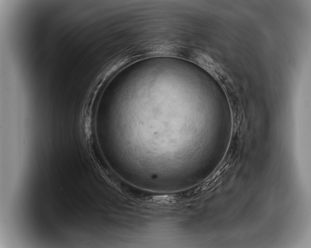 X0000100310050200806051504
