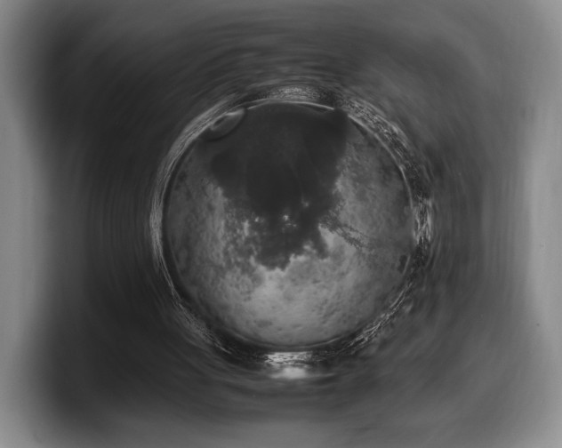X0000100310051200806051504