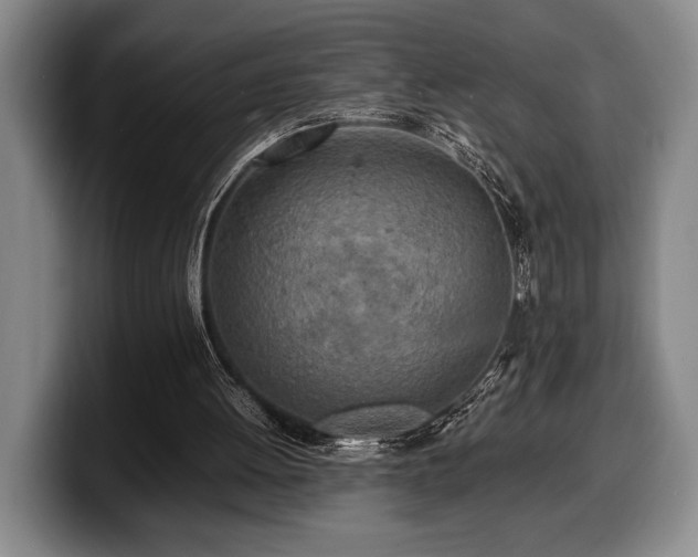 X0000100310052200806051504