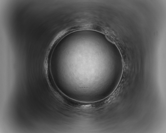 X0000100310054200806051504