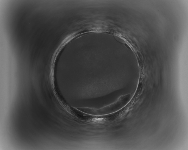 X0000100310055200806051504
