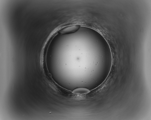 X0000100310056200806051504