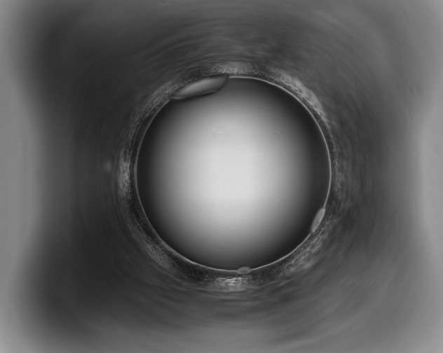X0000100310057200806051504