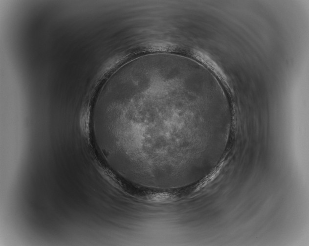 X0000100310058200806051504
