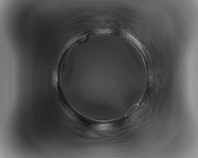 X0000100310059200806051504